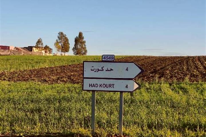 Maya, 22 — Escort in Had Kourt, Morocco