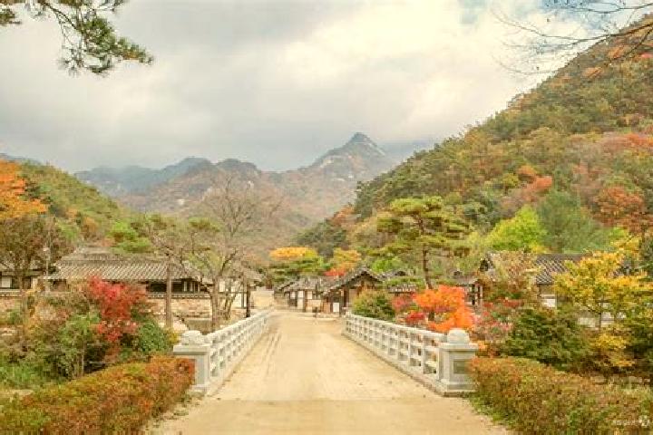 Maya, 22 — Escort in Mungyeong, South Korea