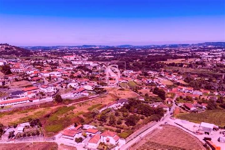Maya, 22 — Escort in Negrelos, Portugal