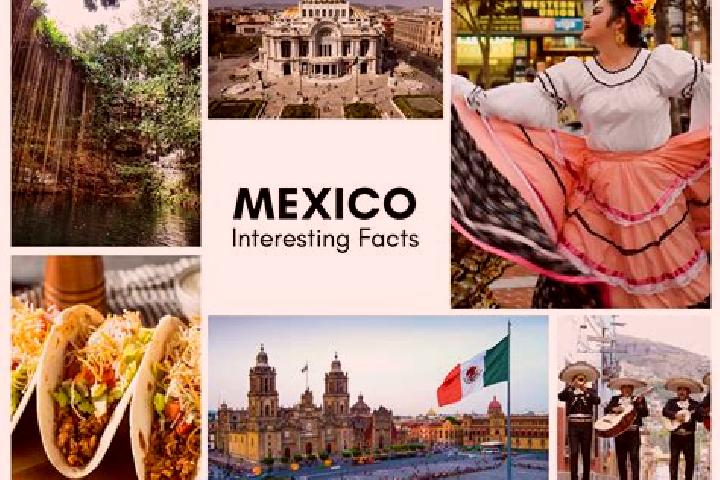 Maya, 22 — Escort in Pacheco, Mexico