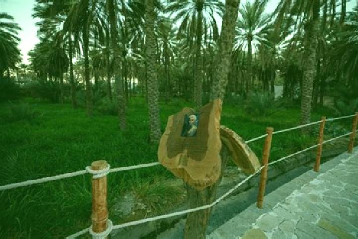 Maya, 22 — Escort in Sama il, Oman