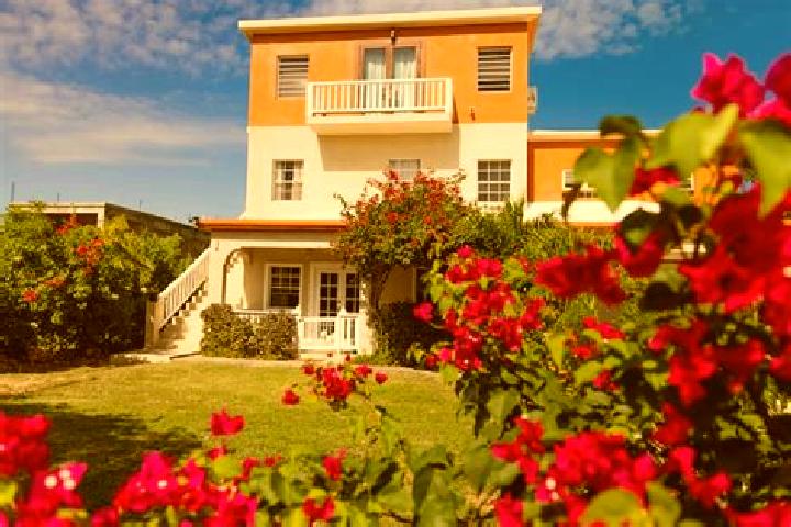 Maya, 22 — Escort in The Quarter, Anguilla