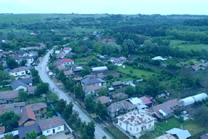 Maya, 22 — Escort in Varvoru de Jos, Romania
