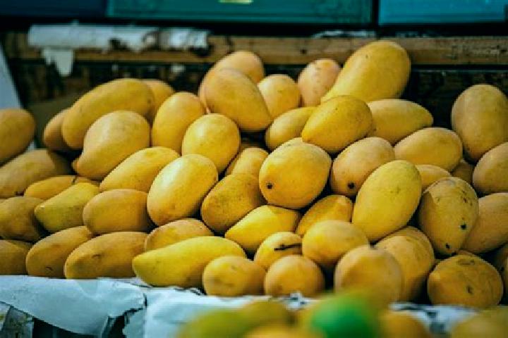 Maya, 23 — Escort in Plan de los Mangos, Mexico
