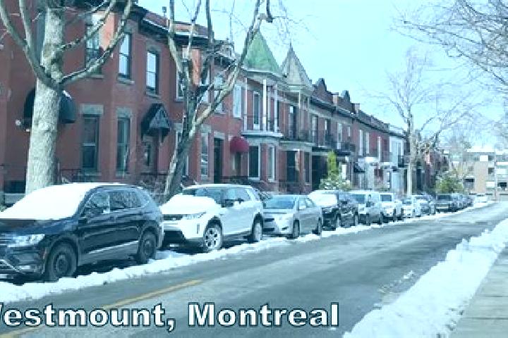 Maya, 23 — Escort in Westmount, Canada