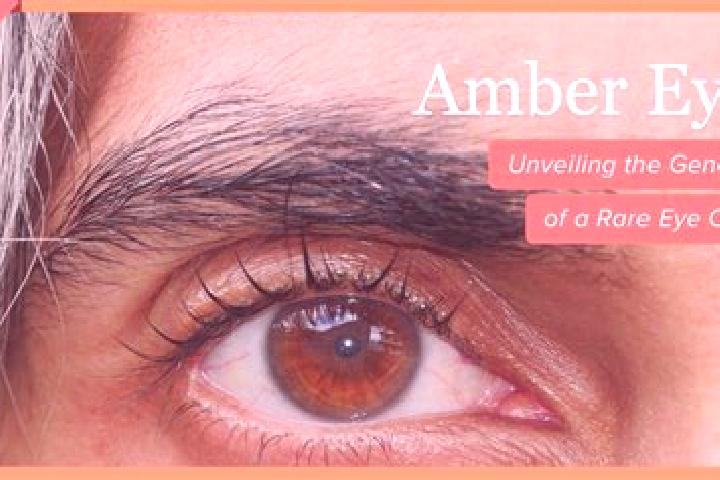 Maya, 24, a red amber-eyed caucasian companion based in Tima. Offering Deep French Kissing, Fetish, Dinner Date. Available for incall and outcall, overnight ...