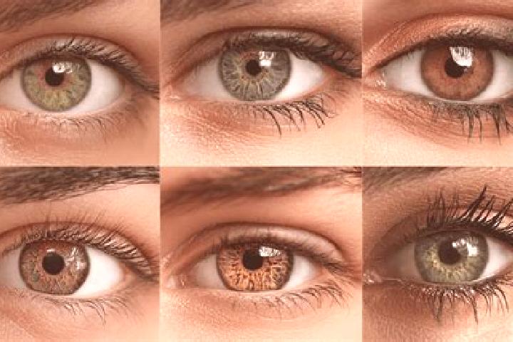 Maya, 24, a red hazel-eyed european companion based in El Esfuerzo. Offering Roleplay, OWO, Duos. Available for incall and outcall, overnight bookings availa...