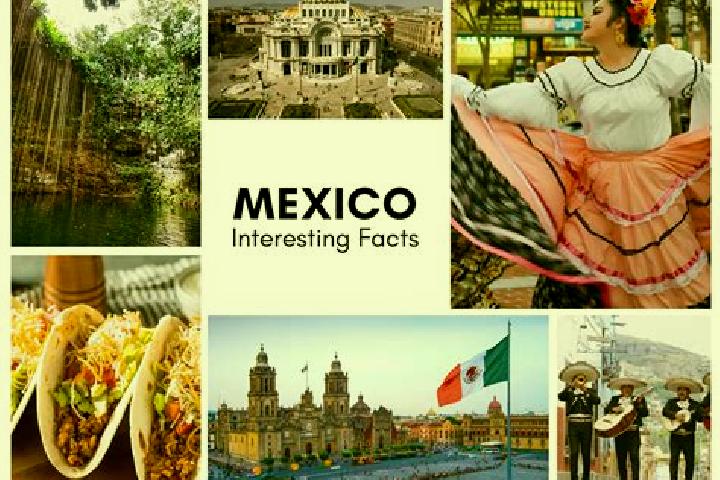 Maya, 24 — Escort in Jochinteol, Mexico