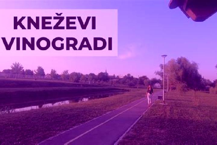 Maya, 24 — Escort in Knezevi Vinogradi, Croatia