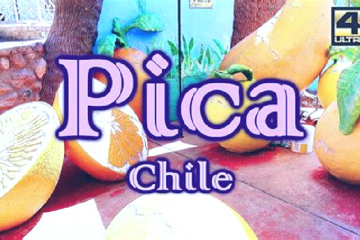 Maya, 24 — Escort in Matilla, Chile