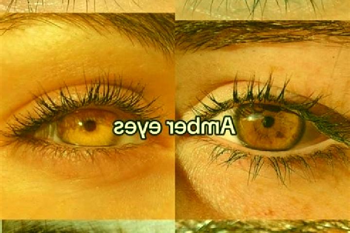 Maya, 25, a brunette amber-eyed middle eastern companion based in Fiesse. Offering Domination, Couples, Erotic Massage, CIM, Tantra. Available for incall and...
