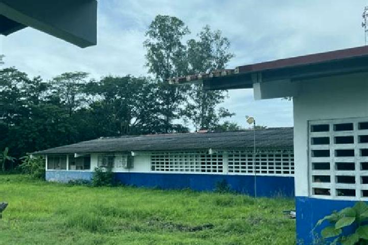 Maya, 25 — Escort in Las Guabas, Panama