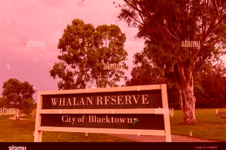 Maya, 25 — Escort in Whalan, Australia