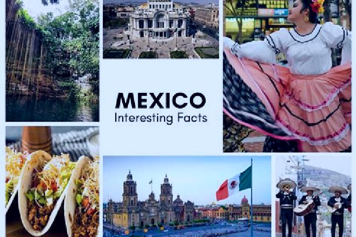 Maya, 26 — Escort in Palo Amarillo, Mexico