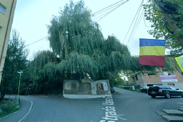 Maya, 26 — Escort in Salcia Tudor, Romania