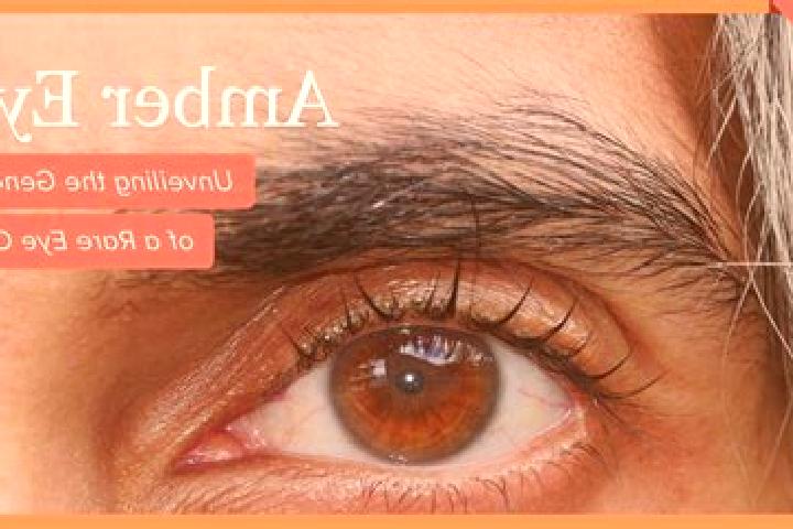 Maya, 27, a black amber-eyed mixed companion based in Burgaz. Offering Roleplay, Domination, Striptease, BDSM, Massage. Available for incall and outcall, day...