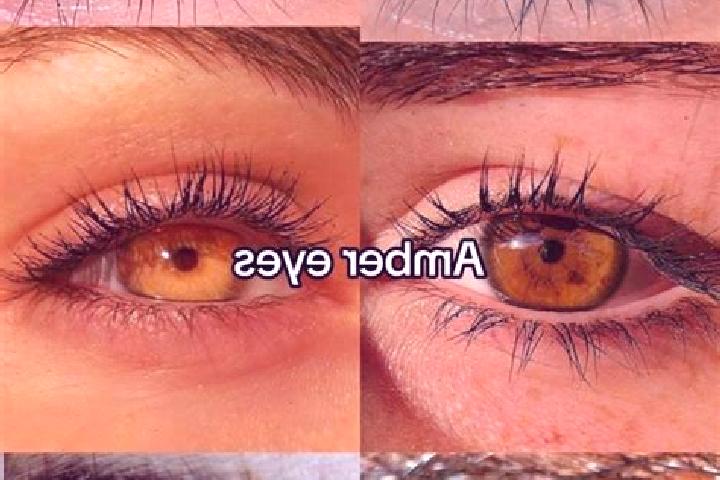 Maya, 27, a chestnut amber-eyed mixed companion based in Akera. Offering Dinner Date, Deep French Kissing, Duos, Domination. Available for incall and outcall...