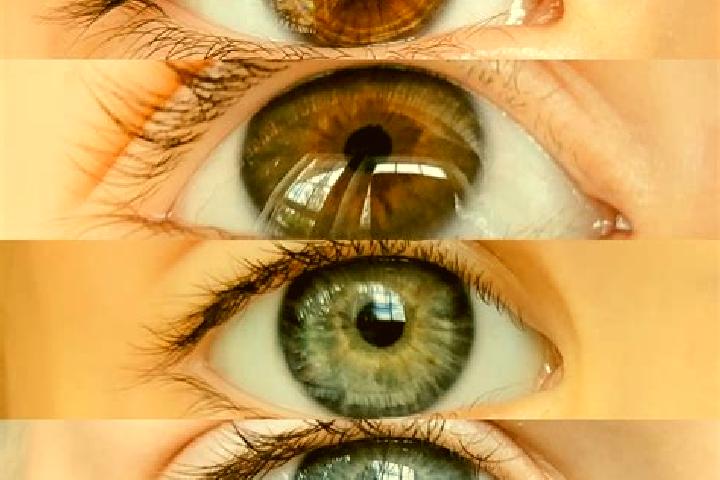 Maya, 27, a chestnut grey-eyed mixed companion based in Camp de Masque. Offering CIM, Duos, Couples. Available for incall and outcall, day and evening dates.