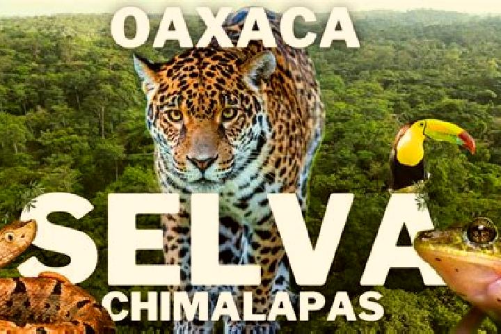 Maya, 27 — Escort in Chimalpa y Tlalayote, Mexico