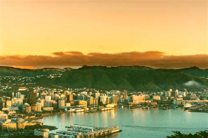 Maya, 27 — Escort in Wellington, New Zealand