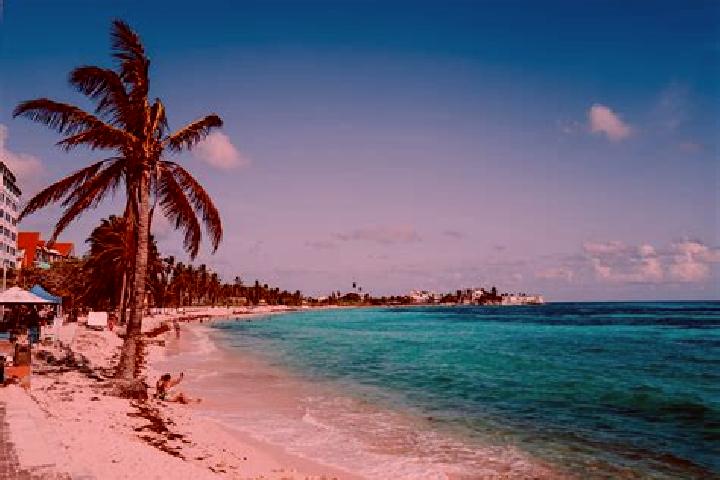 Maya, 28 — Escort in San Andres de la Barana, Mexico