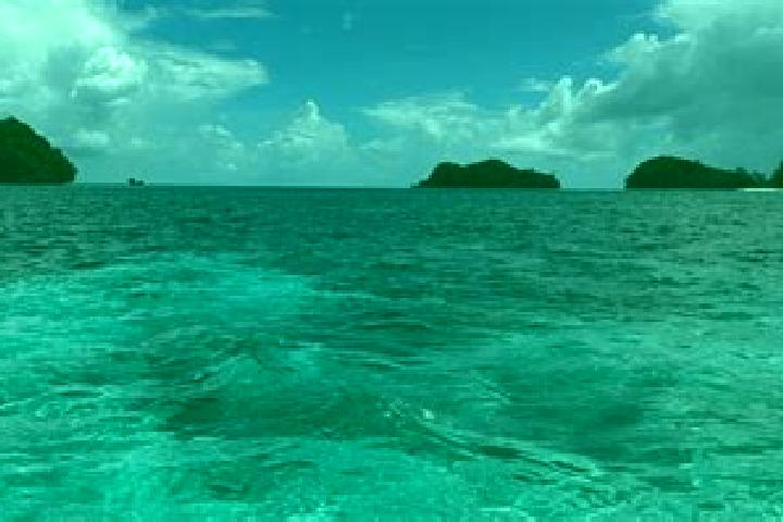Maya, 28 — Escort in Sonsorol Village, Palau