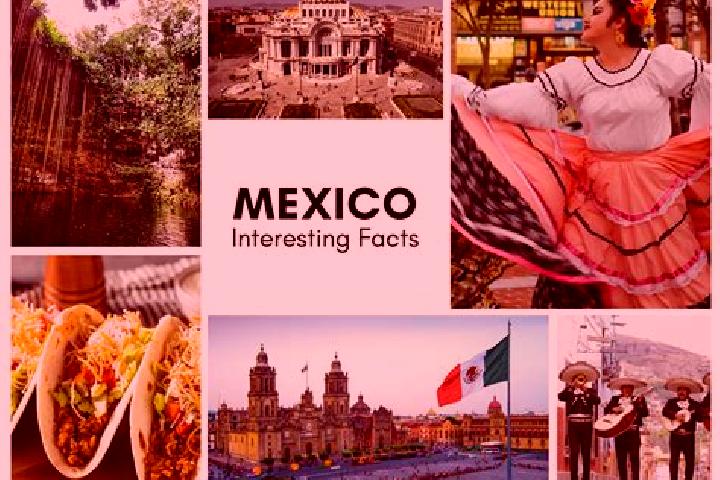 Maya, 28 — Escort in Tenexate, Mexico