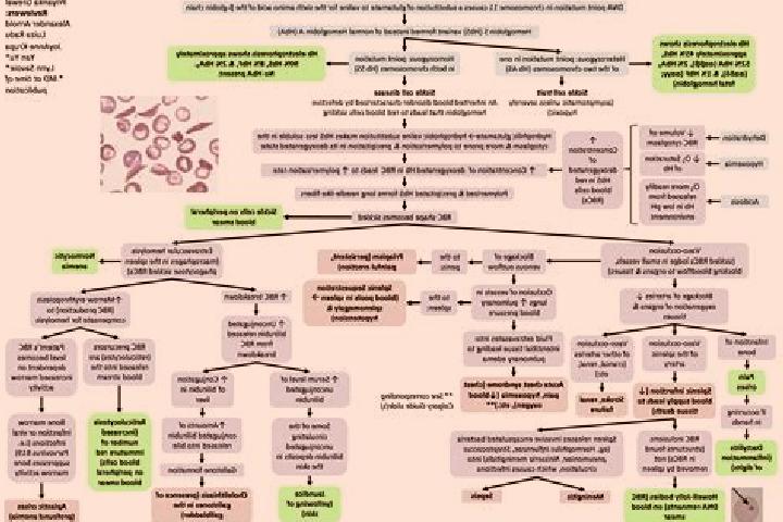 Maya, 29 — Escort in Dasongshu, China