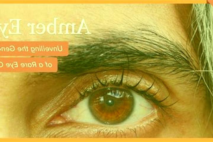 Maya, 30, a black amber-eyed mixed companion based in Boglietto. Offering Roleplay, Dinner Date, A-Level, BDSM, CIM. Available for incall and outcall, overni...