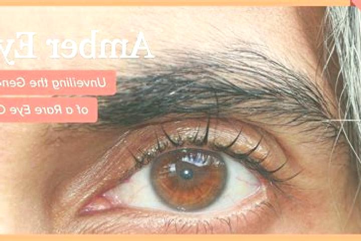 Maya, 30, a red amber-eyed caucasian companion based in Mehal Meda. Offering OWO, 69, Duos. Available for incall and outcall, overnight bookings available.