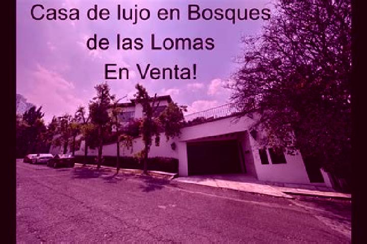 Maya, 30 — Escort in Col. Bosques de las Lomas, Mexico