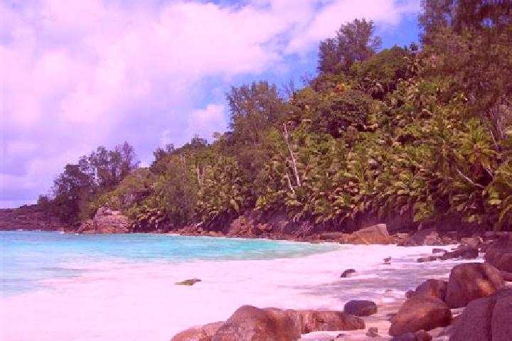 Maya, 30 — Escort in Grand Anse, Seychelles