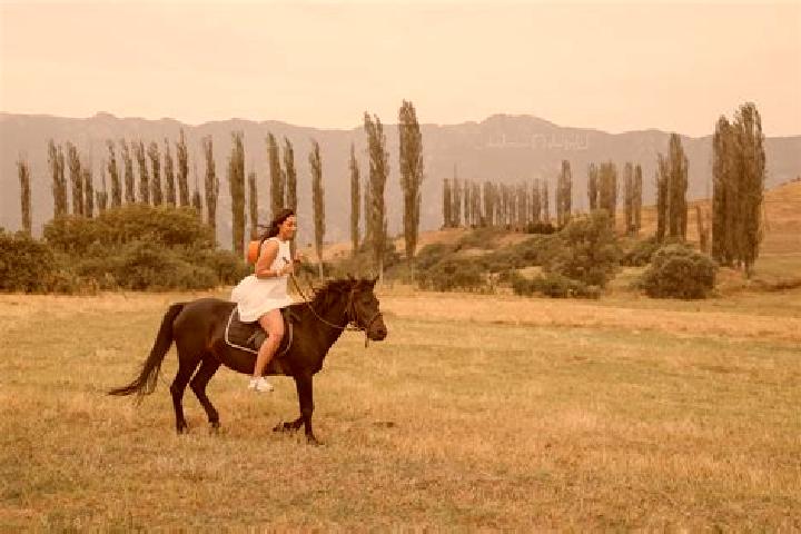 Maya, 30 — Escort in Khachik, Armenia