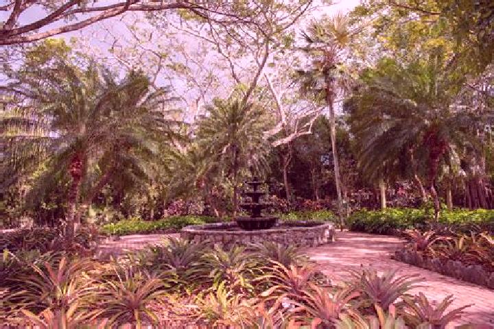 Maya, 30 — Escort in Prospect Park, Cayman Islands