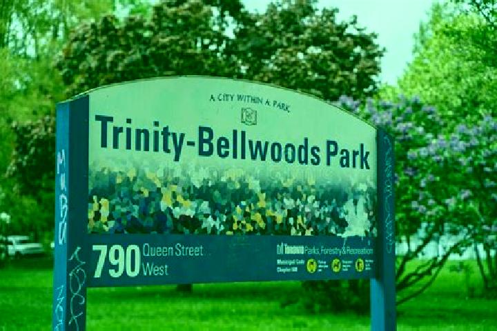 Maya, 30 — Escort in Trinity-Bellwoods, Canada
