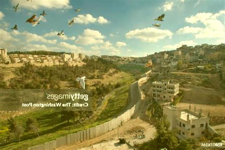 Maya, 31 — Escort in Shu fat, Palestine