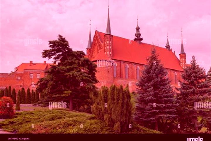 Maya, 32 — Escort in Frombork, Poland