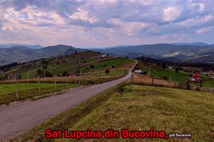 Maya, 32 — Escort in Lupcina, Romania