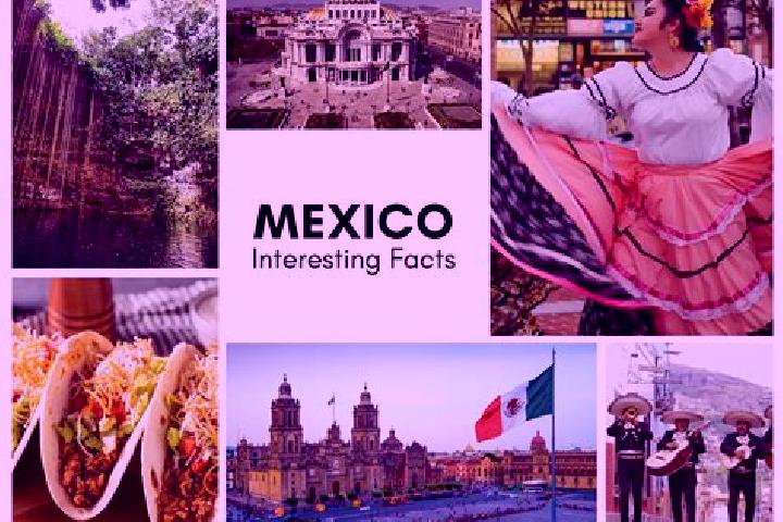 Maya, 32 — Escort in Novara, Mexico