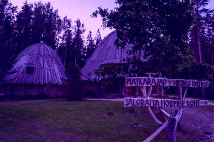Maya, 33 — Escort in Vana-Voidu, Estonia