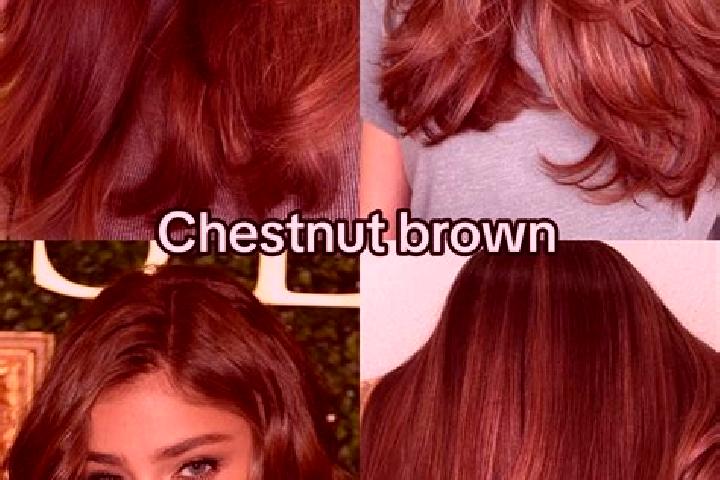 Maya, 34, a chestnut brown-eyed caucasian companion based in Ma Lit West. Offering Domination, GFE, OWO, Girlfriend Experience. Available for incall and outc...