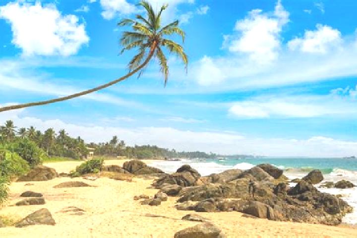 Maya, 34 — Escort in Ambalangoda, Sri Lanka