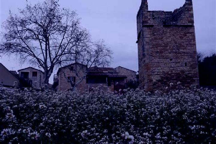 Maya, 34 — Escort in Garrigues-Sainte-Eulalie, France