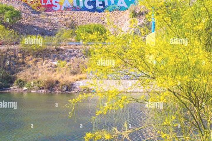 Maya, 34 — Escort in La Sauceda, Mexico