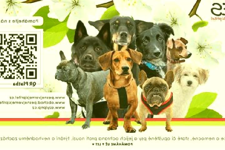 Maya, 34 — Escort in Trebovice, Czech Republic