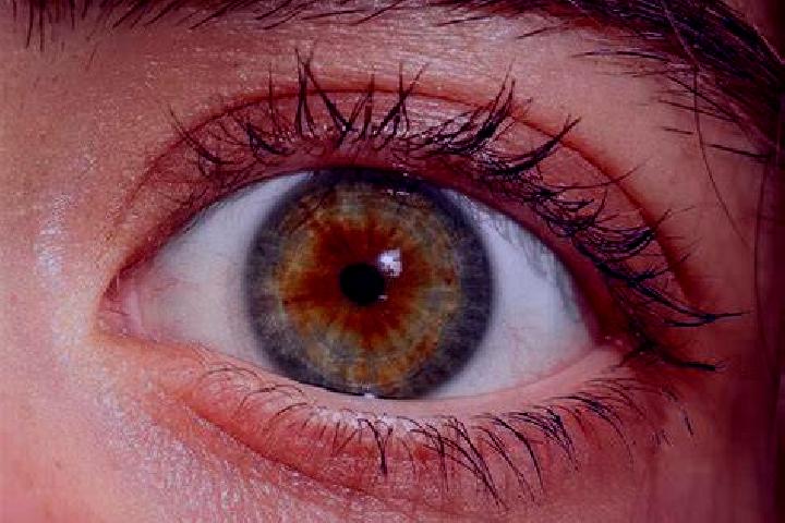 Maya, 35, a red hazel-eyed european companion based in Turgutlu. Offering CIM, Striptease, BDSM, Travel Companion. Available for incall and outcall, overnigh...