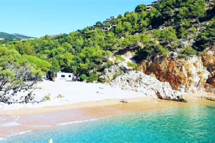 Maya, 35 — Escort in el Poal, Spain