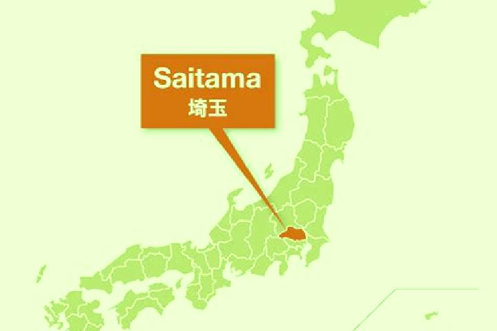 Maya, 35 — Escort in Misato, Saitama, Japan
