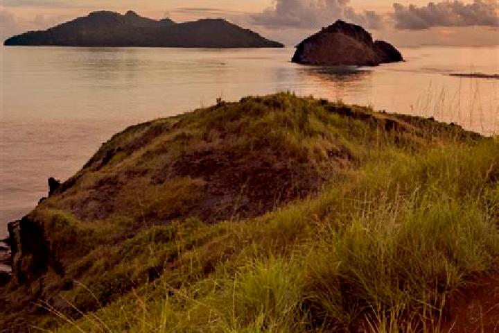 Maya, 35 — Escort in Mtsamboro, Mayotte