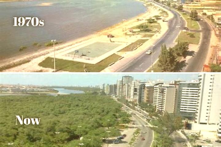 Maya, 36 — Escort in Brasileia, Brazil